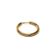 brinco-ring-gold-1